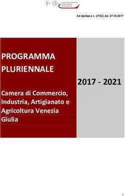 PROGRAMMA PLURIENNALE - Camera di Commercio, Industria, Artigianato e Agricoltura Venezia Giulia - Camera di ...