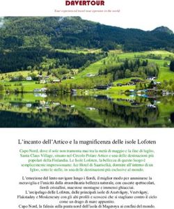 L'incanto dell'Artico e la magnificenza delle isole Lofoten