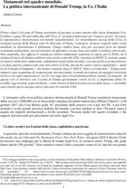 Mutamenti nel quadro mondiale. La politica internazionale di Donald Trump, la Ue, l'Italia
