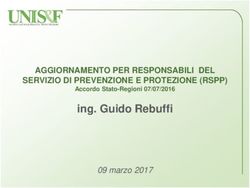 Ing. Guido Rebuffi AGGIORNAMENTO PER RESPONSABILI DEL SERVIZIO DI PREVENZIONE E PROTEZIONE (RSPP)