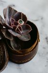 MY GOLDEN AGE wedding collection