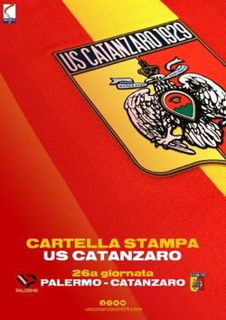 CARTELLA STAM PA US CATANZARO - PALERM O - CATANZARO 26a giornata