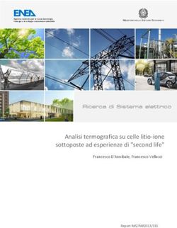 Analisi termografica su celle litio-ione sottoposte ad esperienze di "second life"