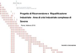 Progetto di Riconversione e Riqualificazione Industriale - Area di crisi industriale complessa di Savona - Roma, febbraio 2018 - Invitalia