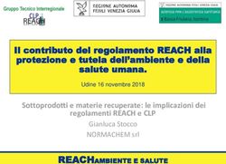 Sottoprodotti e materie recuperate: le implicazioni dei regolamenti REACH e CLP - Gianluca Stocco NORMACHEM srl