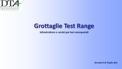 GROTTAGLIE TEST RANGE - INFRASTRUTTURE E SERVIZI PER TEST AEROSPAZIALI AEROPORTI DI PUGLIA SPA - CORRIERE DEL MEZZOGIORNO