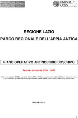 REGIONE LAZIO PARCO REGIONALE DELL'APPIA ANTICA - Parco Regionale dell ...