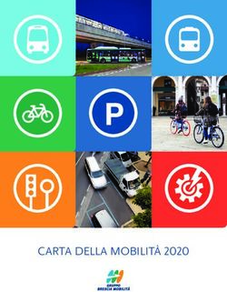 P - CARTA DELLA MOBILIT&Agrave; 2020