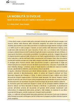 LA MOBILIT&Agrave; SI EVOLVE - Quali strade per una pi&ugrave; rapida transizione energetica? N. 2 Policy Brief Area Energia - I-Com, Istituto per la ...