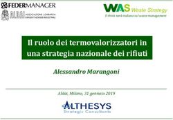 S Il ruolo dei termovalorizzatori in una strategia nazionale dei rifiuti - Alessandro Marangoni - ALDAI