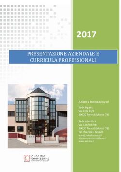 2017 PRESENTAZIONE AZIENDALE E CURRICULA PROFESSIONALI - Comune di ...