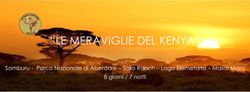 "LE MERAVIGLIE DEL KENYA" - Samburu - Parco Nazionale di Aberdare - Solio Ranch - Lago Elemetaita - Masai Mara 8 giorni / 7 notti