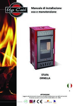 Manuale di installazione uso e manutenzione - STUFA ORNELLA I - Ugo Cadel