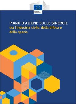 PIANO D'AZIONE SULLE SINERGIE - tra l'industria civile, della difesa e dello spazio