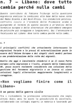 N. 7 - Libano: dove tutto cambia perch&eacute; nulla cambi - OGzero