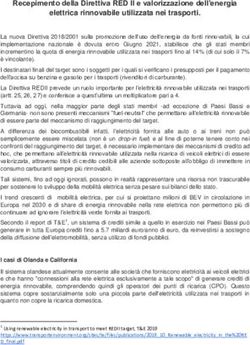 Recepimento della Direttiva RED II e valorizzazione dell'energia elettrica rinnovabile utilizzata nei trasporti.