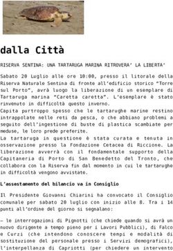 Dalla Città - Il Mascalzone