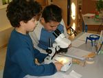 CORSO DI LAUREA IN SCIENZE DELLA FORMAZIONE PRIMARIA ESERCITAZIONI DI BIOLOGIA - Lezione prima parte - Dott.ssa Annamaria Fiar&egrave;