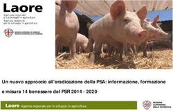 Un nuovo approccio all'eradicazione della PSA: informazione, formazione e misura 14 benessere del PSR 2014 2020 - Sardegna Agricoltura