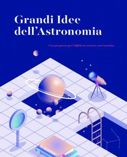 Grandi Idee dell'Astronomia - Una proposta per l'alfabetizzazione astronomica - IAU Office of Astronomy for Education