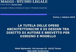 MAGGI - STUDIO LEGALE - Marchi e Disegni comunitari