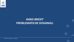 HARD BREXIT PROBLEMATICHE DOGANALI - DB Schenker