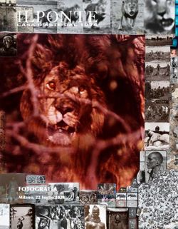 FOTOGRAFIA Milano, 22 luglio 2020 - Il Ponte