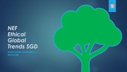 NEF Ethical Global Trends SGD - ANTICIPARE UN MONDO MIGLIORE - Niche Asset ...