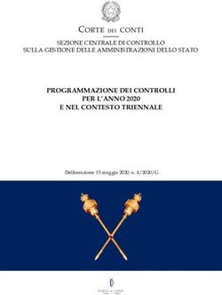 PROGRAMMAZIONE DEI CONTROLLI PER L'ANNO 2020 E NEL CONTESTO TRIENNALE - SEZIONE CENTRALE DI CONTROLLO SULLA GESTIONE DELLE AMMINISTRAZIONI DELLO STATO