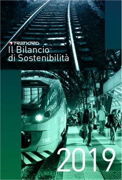 2019 Il Bilancio di Sostenibilit&agrave; - Trenord