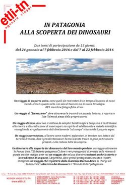 IN PATAGONIA ALLA SCOPERTA DEI DINOSAURI - Due turni di partecipazione da 15 giorni
