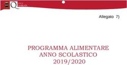 PROGRAMMA ALIMENTARE ANNO SCOLASTICO - 2019/2020 Allegato 7 - Comune ...