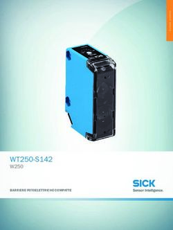 WT250-S142 W250 BARRIERE FOTOELETTRICHE COMPATTE