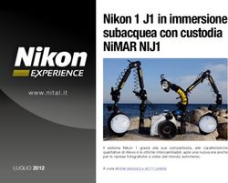 NIKON 1 J1 IN IMMERSIONE SUBACQUEA CON CUSTODIA NIMAR NIJ1 - NITAL