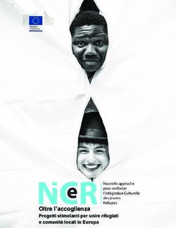 OLTRE L'ACCOGLIENZA PROGETTI STIMOLANTI PER UNIRE RIFUGIATI E COMUNITÀ LOCALI IN EUROPA - NICER PROJECT