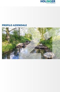 PROFILO AZIENDALE - Holinger AG