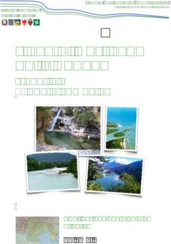 Piano di Gestione delle Acque - Progetto di aggiornamento - Pianificazione coordinata e attuativa - alpiorientali