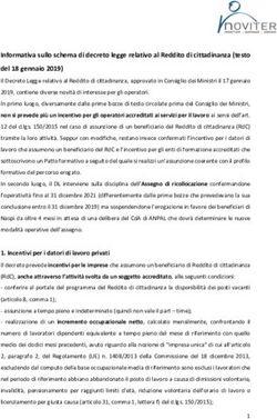 Informativa sullo schema di decreto legge relativo al Reddito di cittadinanza (testo del 18 gennaio 2019)