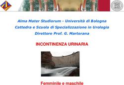 INCONTINENZA URINARIA - Femminile e maschile - Alma Mater Studiorum - Università di Bologna Cattedra e Scuola di Specializzazione in Urologia ...