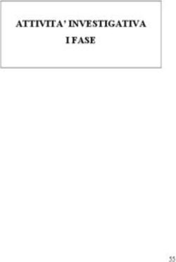 ATTIVITA' INVESTIGATIVA I FASE