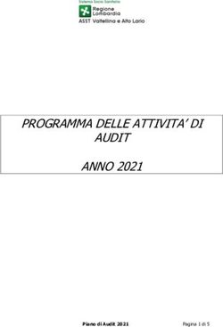 PROGRAMMA DELLE ATTIVITA' DI AUDIT ANNO 2021