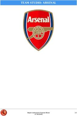 TEAM STUDIO: ARSENAL - Report realizzato da Vincenzo Russo 1/1 - LFScouting