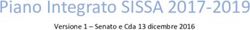 Piano Integrato SISSA 2017-2019 - Versione 1 - Senato e Cda 13 dicembre 2016 - Portale della Performance