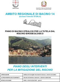 AMBITO REGIONALE DI BACINO 14 - Piani di bacino