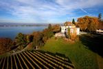 Foliage, notti fra i vigneti e settimane della mela: arriva l'autunno sul Lago di Costanza - ABC PR Consulting