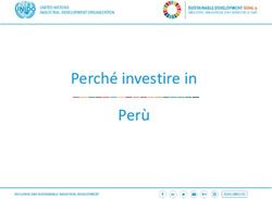 Perch&eacute; investire in Per&ugrave; - UNIDO ITPO Italy
