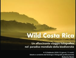 Un affascinante viaggio fotografico nel paradiso mondiale della biodiversità - Roberto Nistri