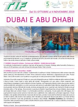 DUBAI E ABU DHABI PROGRAMMA DI VIAGGIO