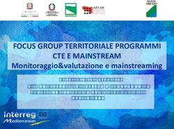 FOCUS GROUP TERRITORIALE PROGRAMMI CTE E MAINSTREAM - Monitoraggio&valutazione e mainstreaming Il monitoraggio dei programmi INTERREG a livello ...