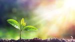 PROGRAMMA DI FINANZIAMENTI LIFE 2017-2020 - IL PROGRAMMA FINANZIAMENTI LIFE E LA VISIONE DEGLI ESPERTI PER L'AMBIENTE E PER IL CLIMA - RETIQA